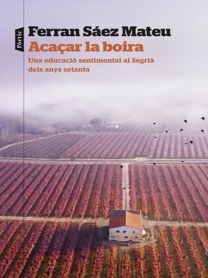 cover image of Acaçar la boira